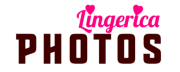 下着のLingerica